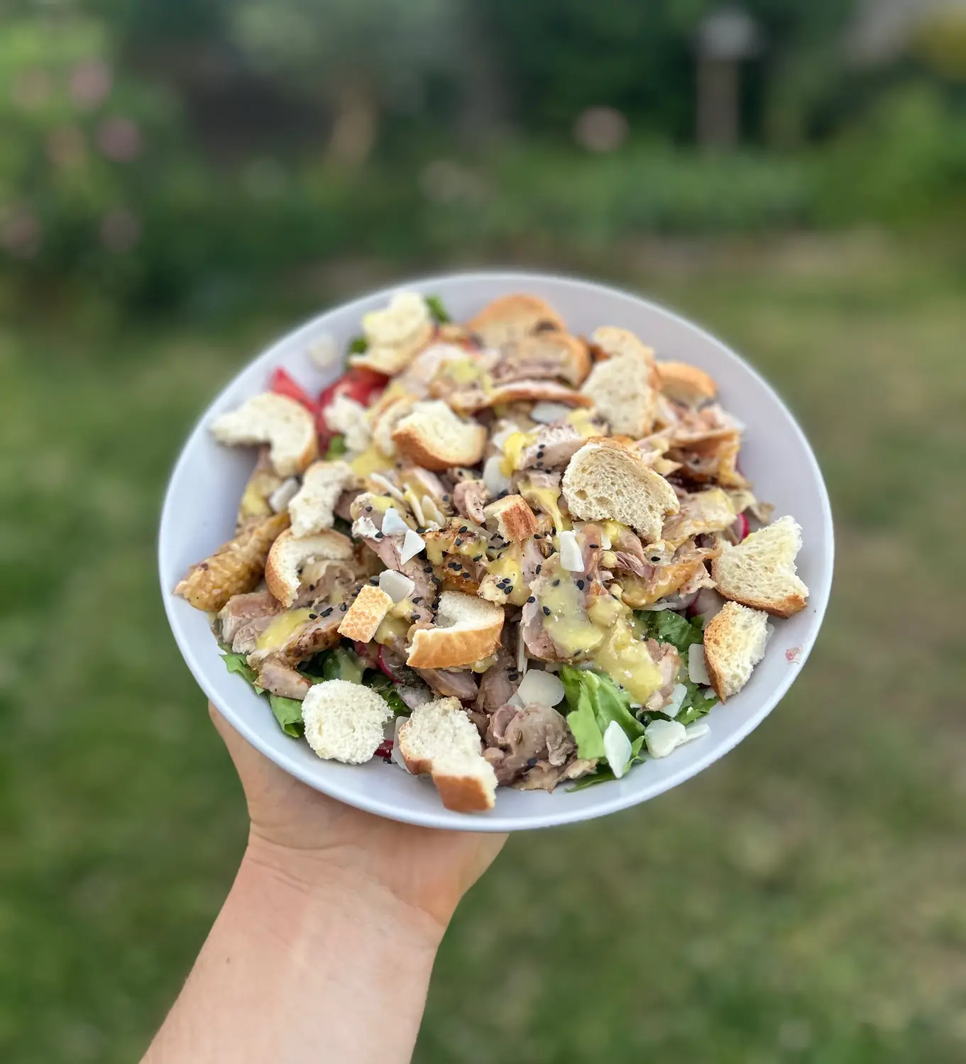 Grand bol de salade composée — verdure, viande émincée, croûtons, sauce — tenu à bout de bras devant un jardin.